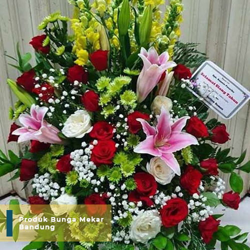 Rp. 600.000